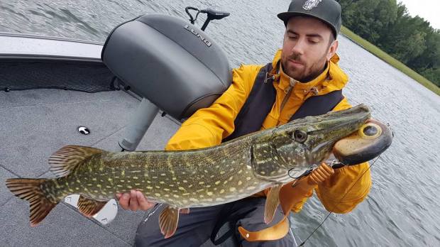 21231180_1358415037602498_1853085247253717411_n