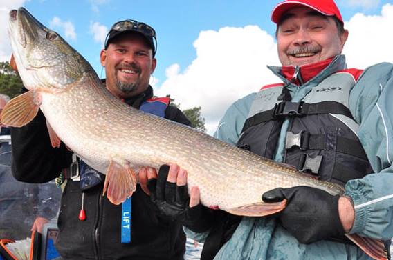 16649278_1173620282748642_8736083670332138808_n